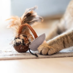 Holiday-Themed DIY Pet Toys for Festive Fun