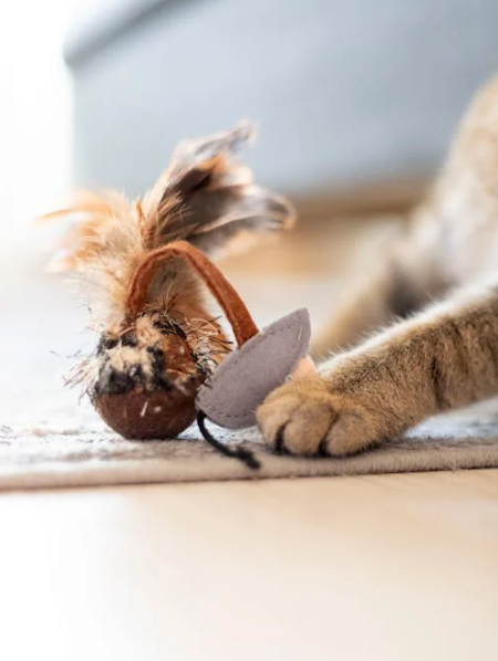 Holiday-Themed DIY Pet Toys for Festive Fun